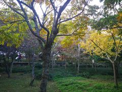 -普陀山风景名胜区-法雨禅寺