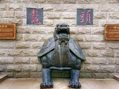-碧海金沙
