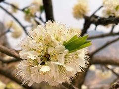 -上方山云水洞