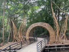 -南沙水鸟世界生态园