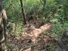 -杭州半山国家森林公园