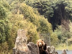 -杭州野生动物世界