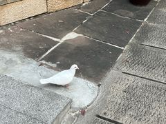 -靖港古镇