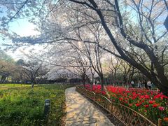 -白塘生态植物园