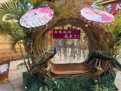 -西双版纳原始森林公园