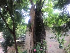 -西安关中民俗艺术博物院