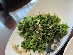 -崂山印象·青岛·海鲜渔家菜