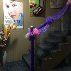 -归真美学颜究中心