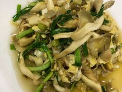 榆黄蘑炒鸡蛋-朴小妹人参鸡汤火锅(长白山万达店)