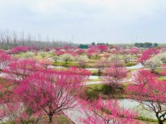 -花开海上生态园