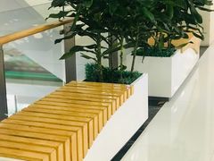 -比格比萨自助(万柳华联店)