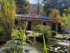 -湘力力小院·鱼汤泡饭(枫林路店)