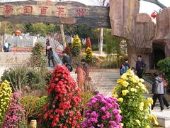 -松山湖南湖湾露营营地