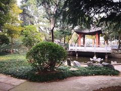 -上海财经大学(国定路校区)