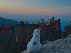 -秦岭终南山世界地质公园翠华山景区