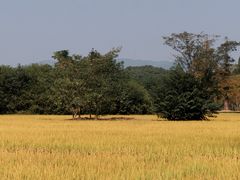 -良渚古城遗址公园