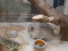 -龙猫仔乐园(惠福东路店)