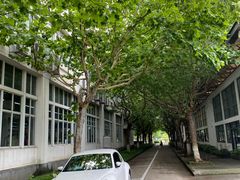 -上海第二工业大学(金海路校区)