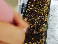 -盒悦高端盒饭(中海国际中心店)