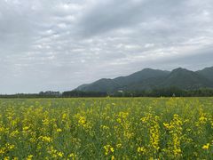 -沣峪口