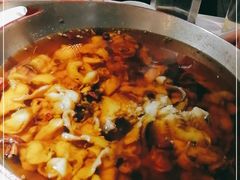 -雲蜀龙阁·金牌水煮鱼(方庄店)