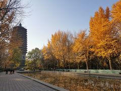 -玲珑塔公园