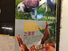 景观位-鸽王世家(东华东路店)