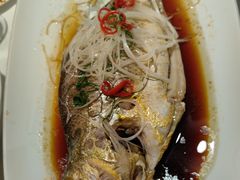 清蒸大黄鱼-福海居烤鸭店(鸟巢店)