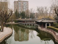 -团结湖公园