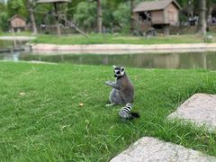 -上海野生动物园