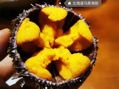 活海胆刺身-熊藏居酒屋(kkone店)