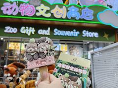 -合肥野生动物园