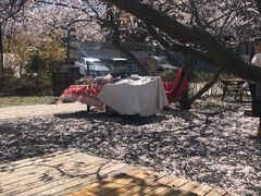 -大连北马山庄