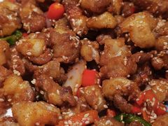 孜然鸡脆骨-安天民北方饺子(白石洲店)