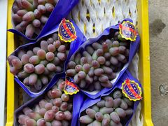 -马陆小张葡萄园农家乐