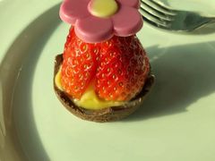 -澳门旅游塔360°旋转餐厅(南湾湖广场店)