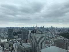 -东京都厅舍