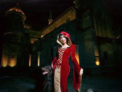 -超宠爱宠物摄影-Super pet