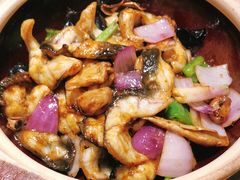 土烧白鳝煲-粤·向群饭店(泮塘路店)
