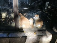 -昆明动物园