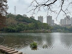 -重庆彩云湖湿地公园