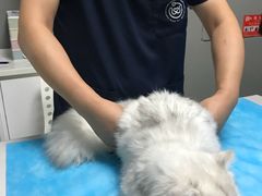 -关爱宠物医院·猫科中心·消化科(滨湖万达分院)