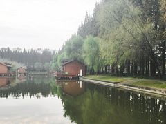 -金岛生态园烧烤露营地