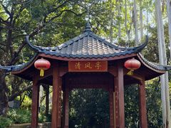 -黄埔油麻山森林公园