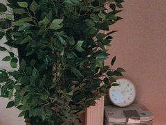 -大鱼·养生·禅洗头疗·按摩SPA