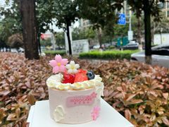 -罗莎蛋糕(松雅湖店)