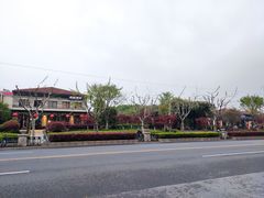 -荷风细雨·中国茶宴(碧云店)