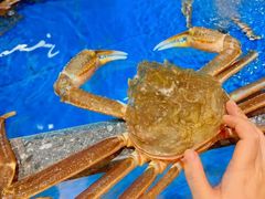-亚马逊蒸汽活海鲜自助(LCM置汇旭辉广场店)