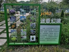 -新江湾城公园