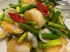 芦笋炒澳洲带子-北京泰富酒店-柏景轩中餐厅
